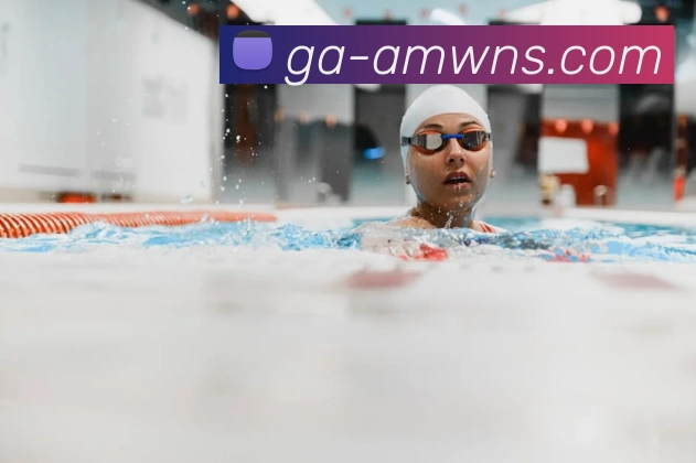 威尼斯人官网平台生态图